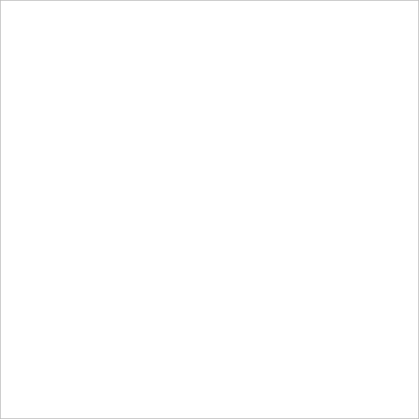 Alphanamel Lettering Enamel - 2.5 fl oz (74 ml) - Alpha White