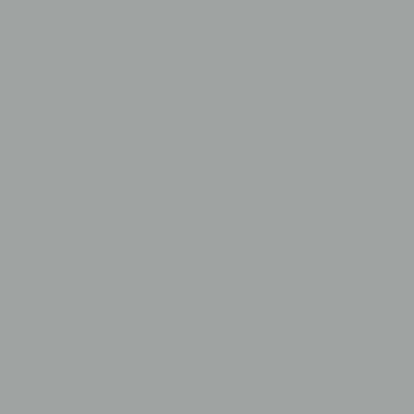 Alphanamel Lettering Enamel - 2.5 fl oz (74 ml) - Light Grey