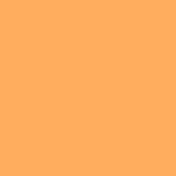 Alphanamel Lettering Enamel - 2.5 fl oz (74 ml) - Orange Sherbet