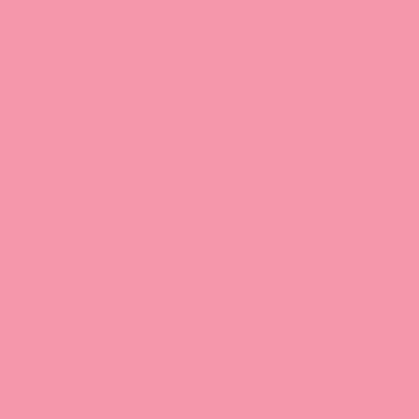 Alphanamel Lettering Enamel - 2.5 fl oz (74 ml) - Raspberry Sherbet