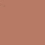 Caran d'Ache Luminance 6901 Colored Pencil - 741 Warm Earth 5% (Formally Dark Flesh 5%)