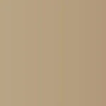 Caran d'Ache Luminance 6901 Colored Pencil - 736 Olive Brown 50% - Image 2