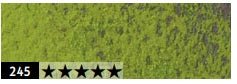 Caran d'Ache Pastel Pencil - 245 Light Olive 40%