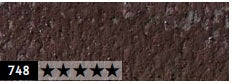 Caran d'Ache Pastel Pencil - 748 Dark Flesh