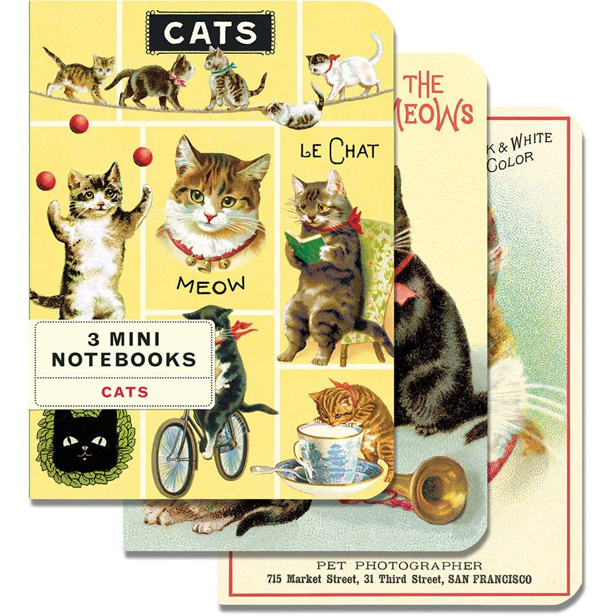 Cavallini & Co. Vintage Inspired Mini Notebook - 4 x 5.5 inch 96 pages - Set of 3 - Cats