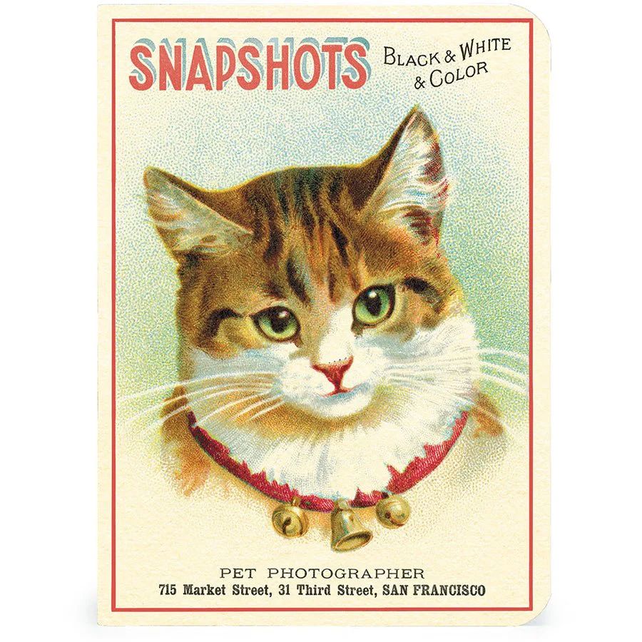 Cavallini & Co. Vintage Inspired Mini Notebook - 4 x 5.5 inch 96 pages - Set of 3 - Cats - Image 4