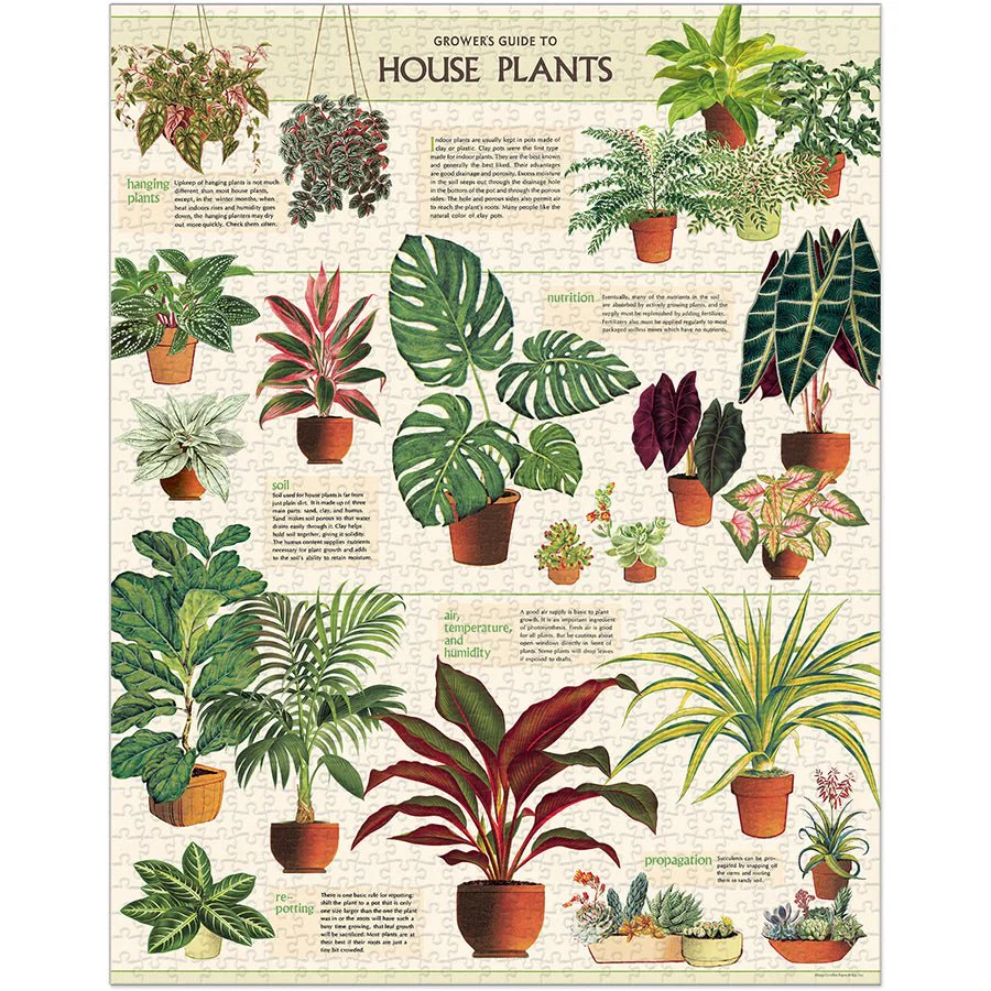 Cavallini & Co. Vintage Inspired 1000 Piece Puzzle - House Plants - Image 2