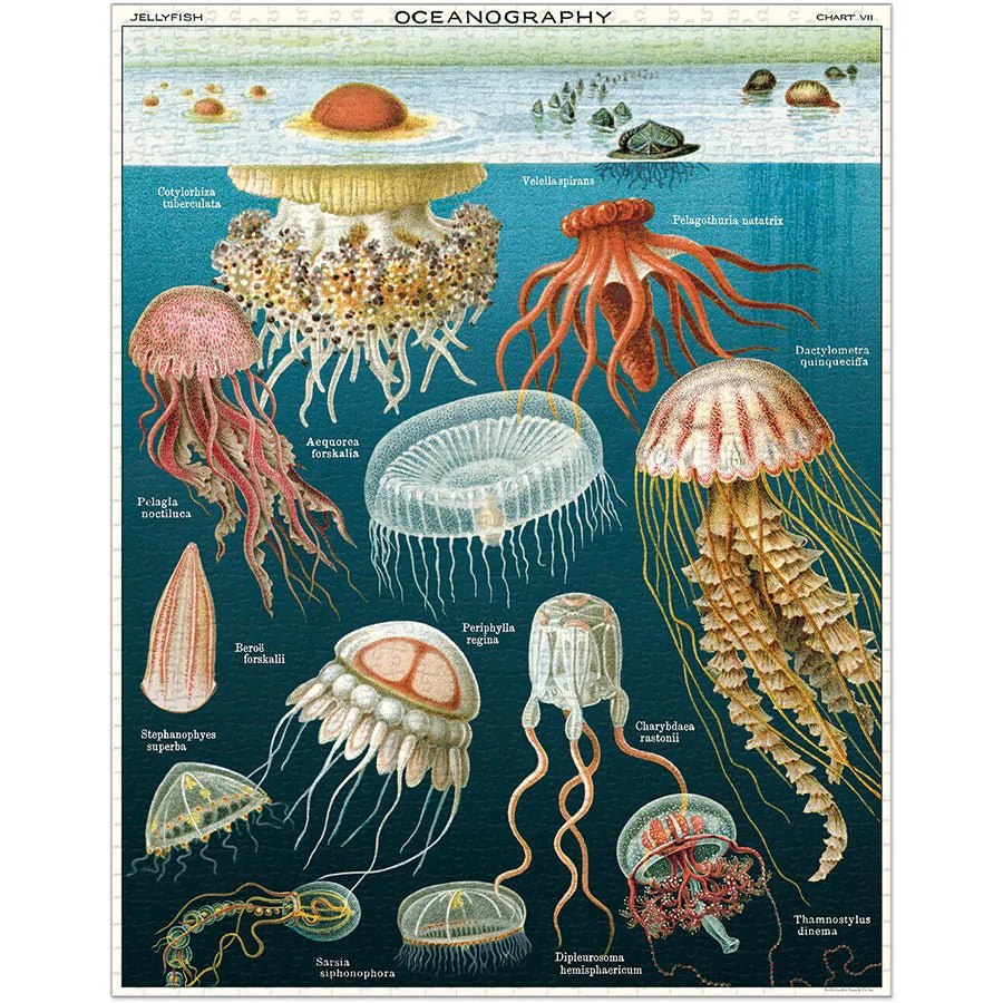 Cavallini & Co. Vintage Inspired 1000 Piece Puzzle - Jellyfish - Image 2
