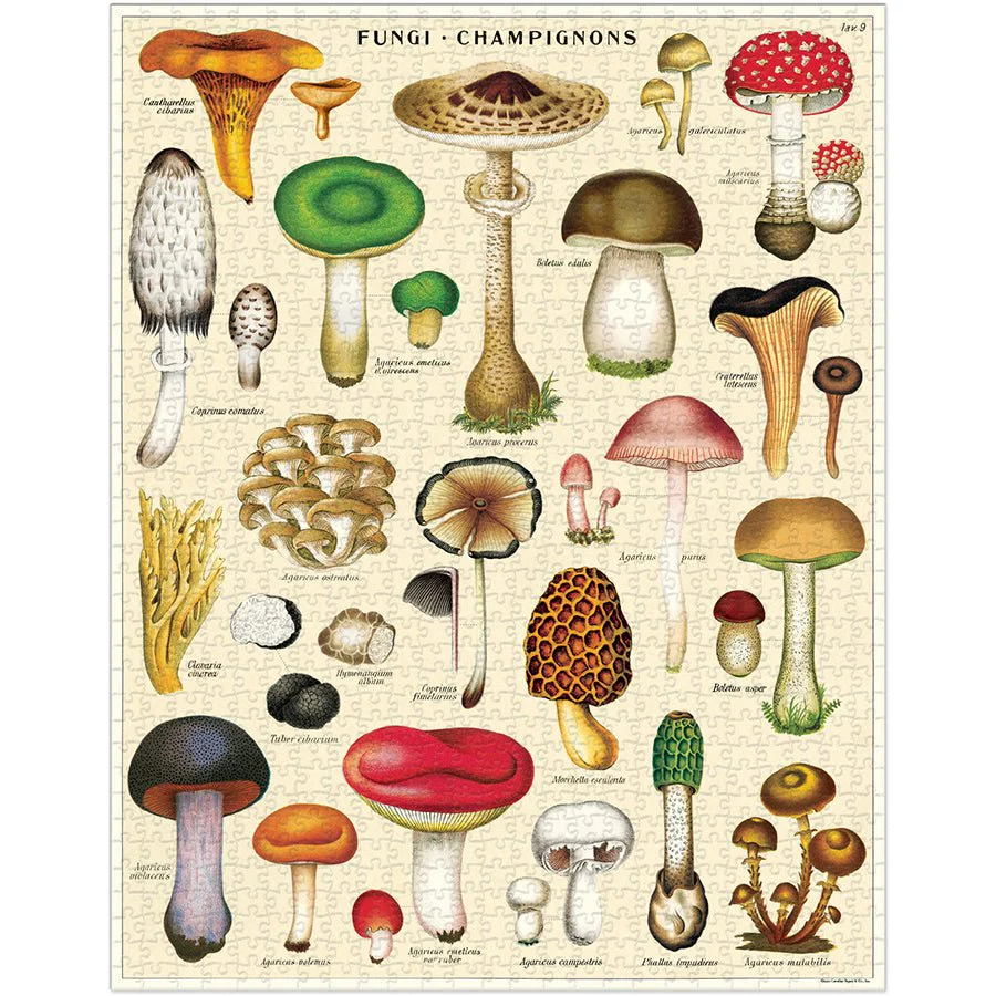 Cavallini & Co. Vintage Inspired 1000 Piece Puzzle - Mushrooms - Image 2