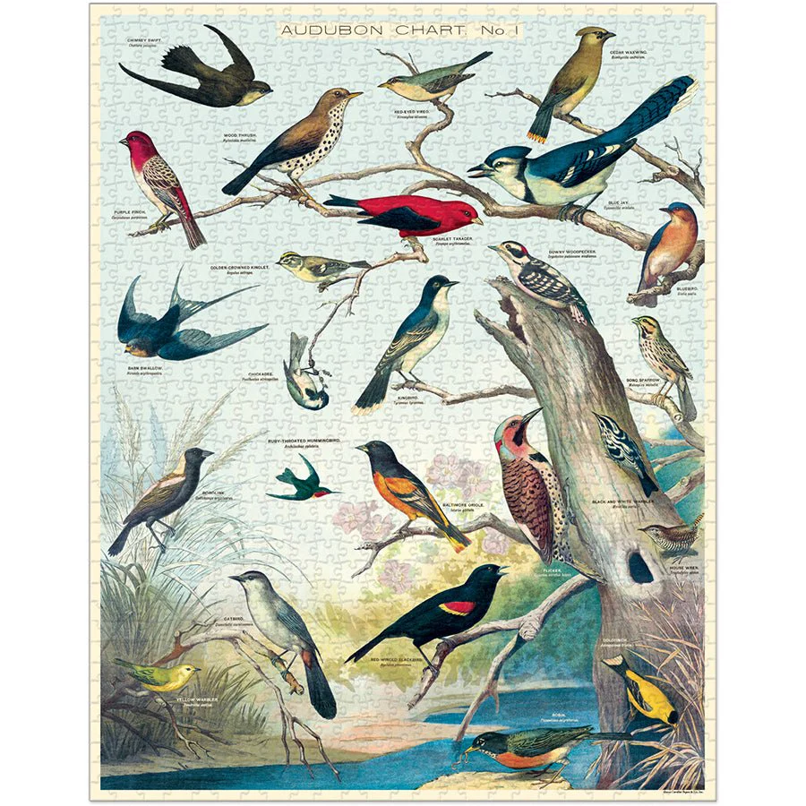 Cavallini & Co. Vintage Inspired 1000 Piece Puzzle - Birds - Image 2