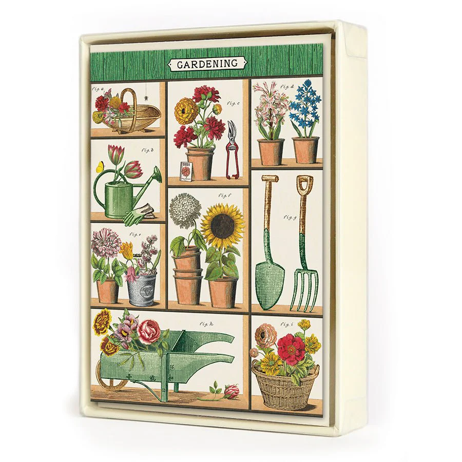 Cavallini & Co. Vintage Inspired Boxed Notecards - 8 folded 3.75" x 5.25" notecards and envelopes (4 designs 2 per design) - Gardening