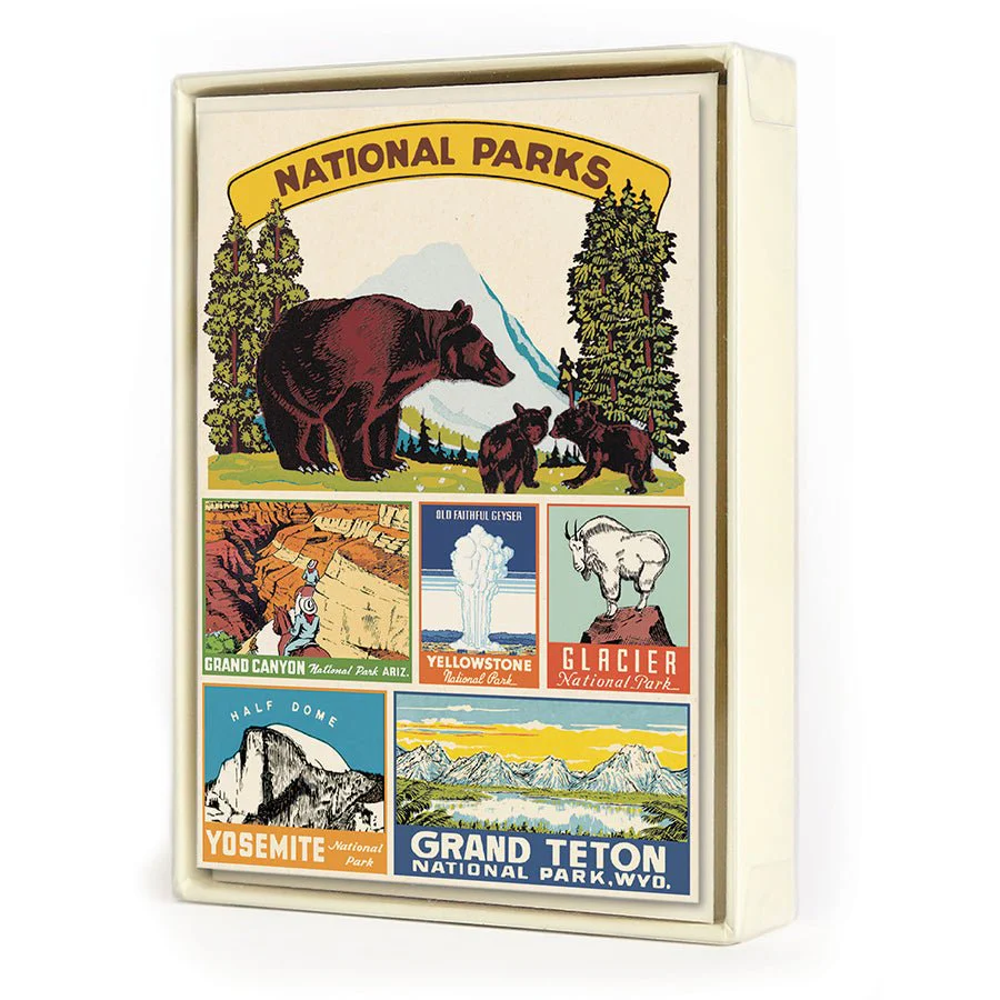 Cavallini & Co. Vintage Inspired Boxed Notecards - 8 folded 3.75" x 5.25" notecards and envelopes (4 designs 2 per design) - National Parks