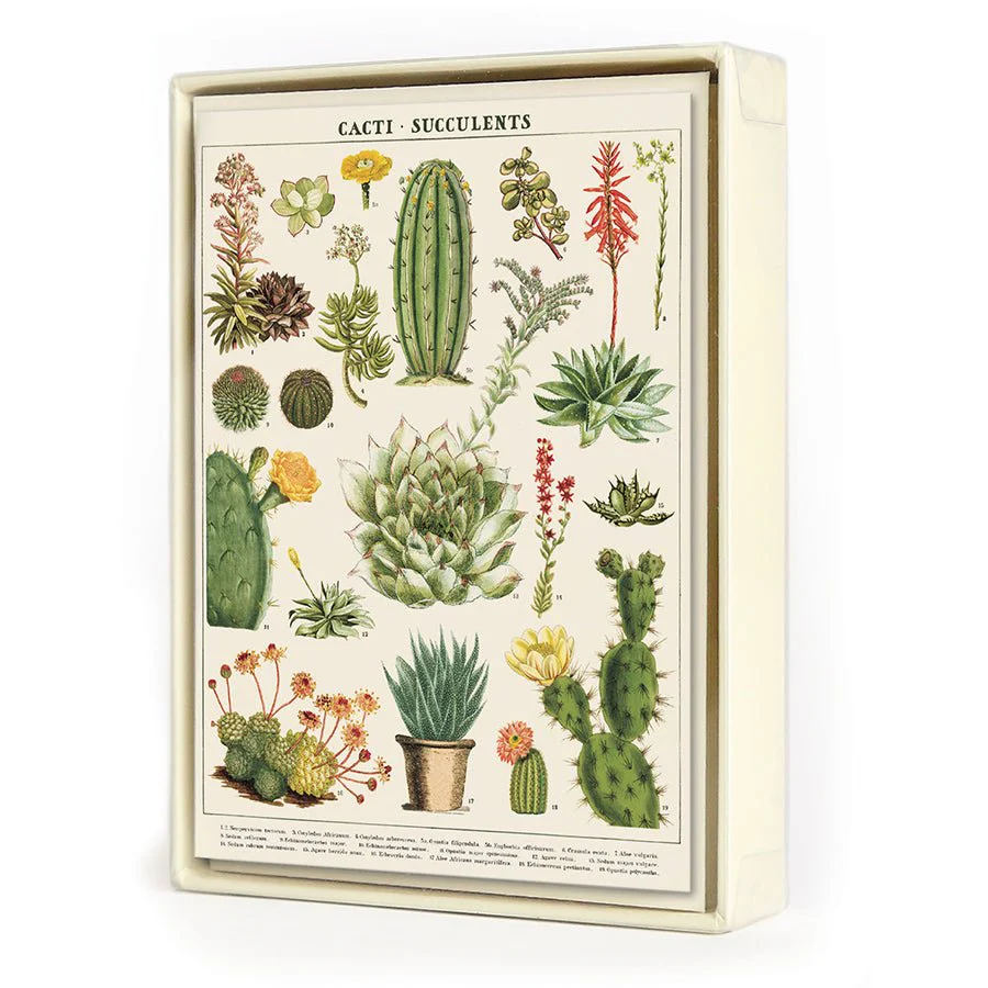 Cavallini & Co. Vintage Inspired Boxed Notecards - 8 folded 3.75" x 5.25" notecards and envelopes (4 designs 2 per design) - Succulents
