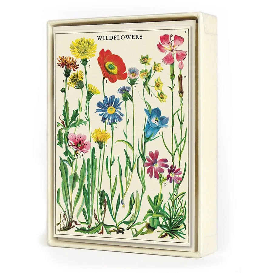 Cavallini & Co. Vintage Inspired Boxed Notecards - 8 folded 3.75" x 5.25" notecards and envelopes (4 designs 2 per design) - Wildflowers