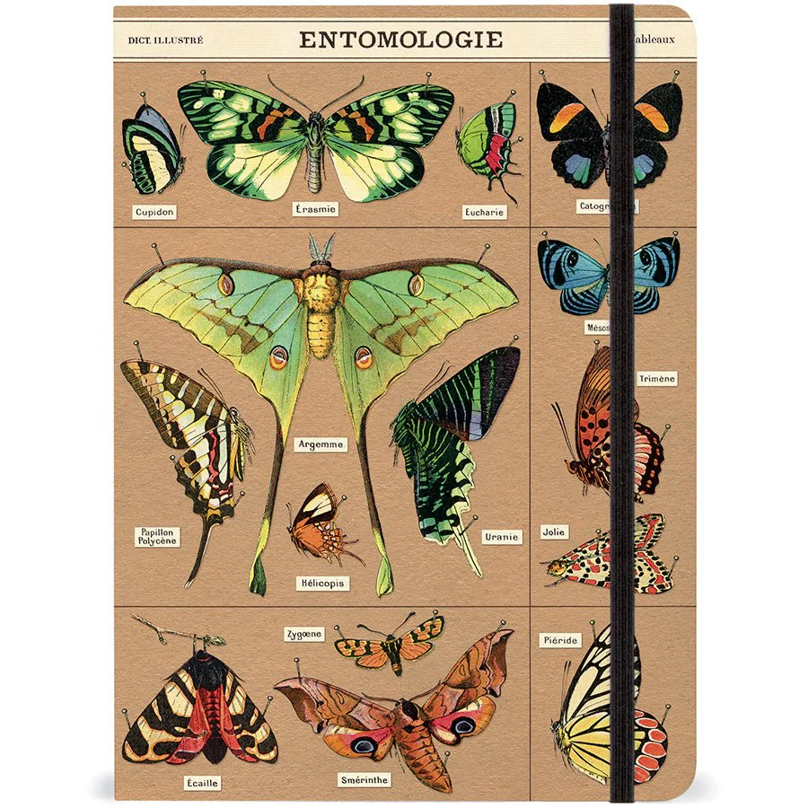 Cavallini & Co. Vintage Inspired Large Notebook - 6" x 8" 144 pages - Entomology