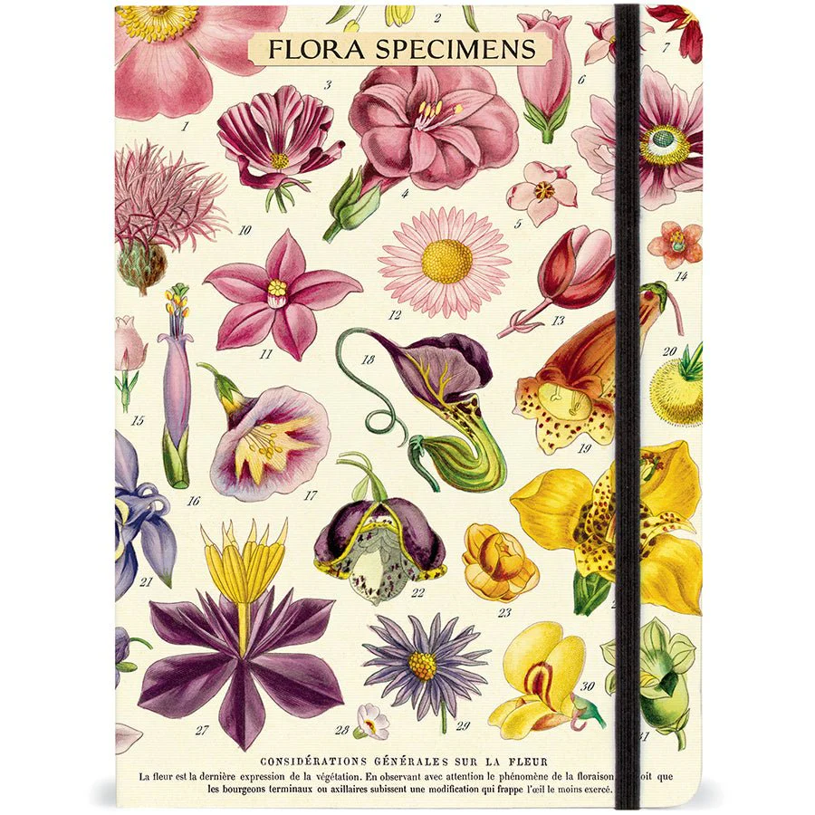 Cavallini & Co. Vintage Inspired Large Notebook - 6" x 8" 144 pages - Flora Specimen