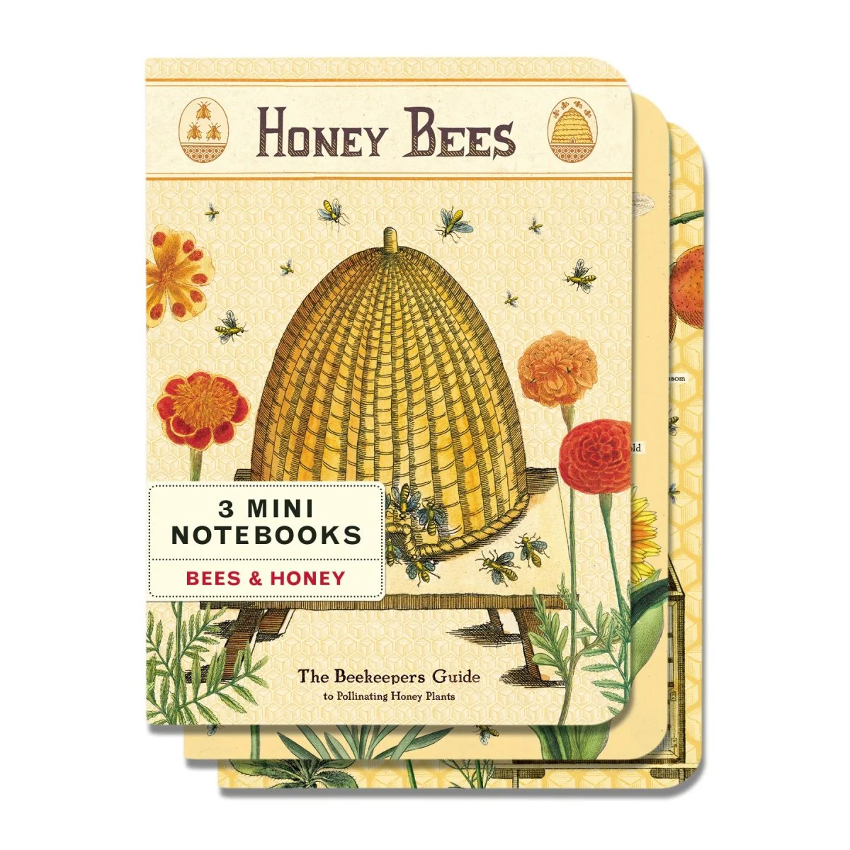 Cavallini & Co. Vintage Inspired Mini Notebook - 4 x 5.5 inch 96 pages - Set of 3 - Bees & Honey
