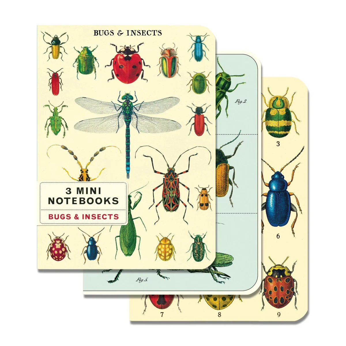 Cavallini & Co. Vintage Inspired Mini Notebook - 4 x 5.5 inch 96 pages - Set of 3 - Bugs & Insects