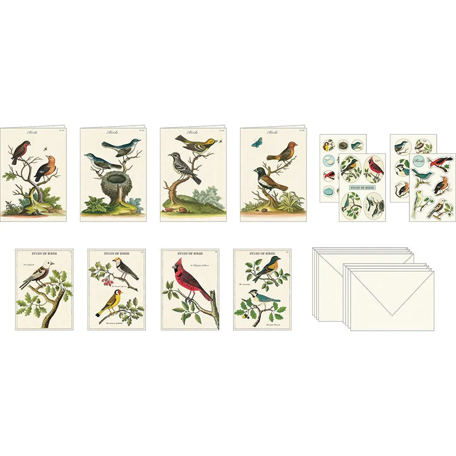 Cavallini & Co. Vintage Inspired Stationary Set (8 folded cards, 8 flat cards, 16 envelopes & 4 sheets of stickers) - Birds - Image 2