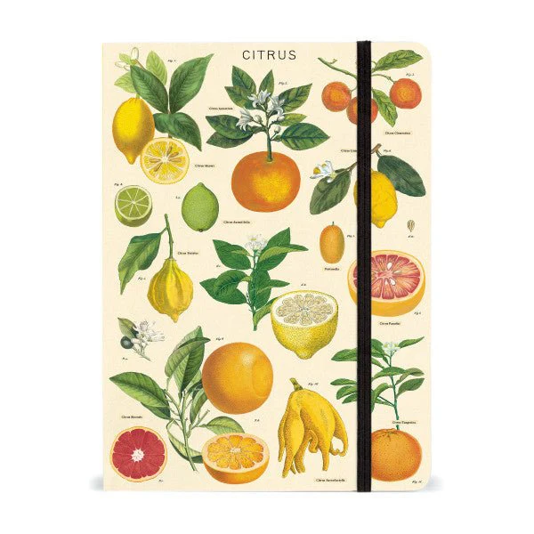 Cavallini & Co. Vintage Inspired Large Notebook - 6" x 8" 144 pages - Citrus