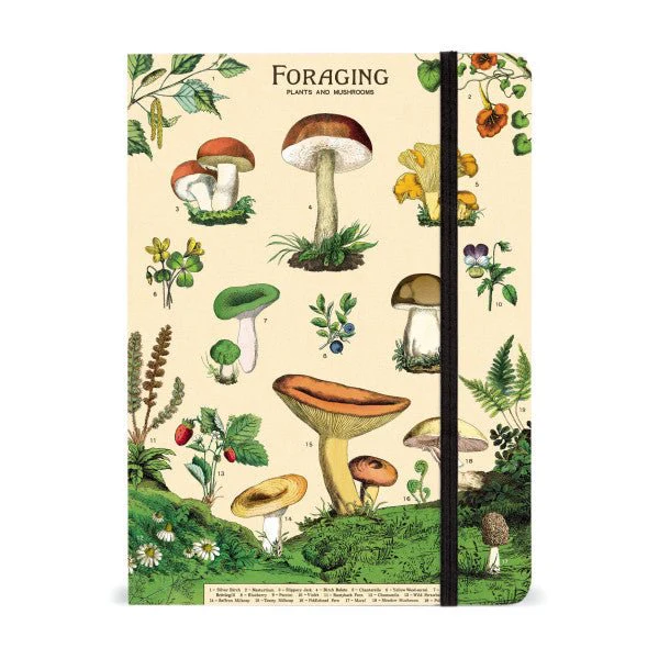 Cavallini & Co. Vintage Inspired Large Notebook - 6" x 8" 144 pages - Foraging