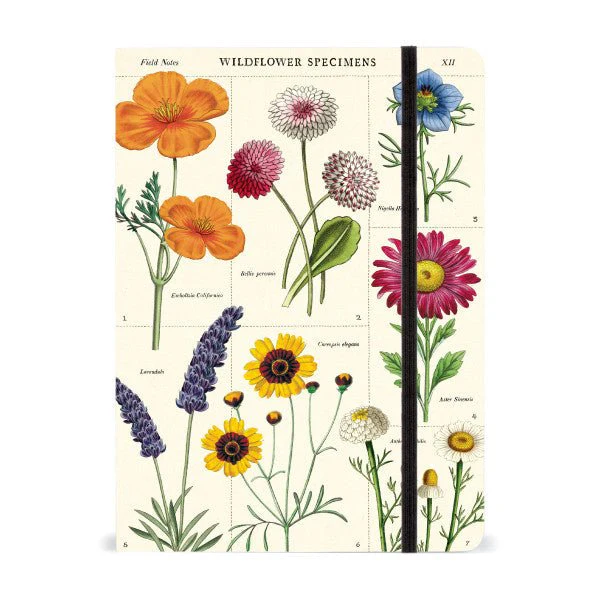 Cavallini & Co. Vintage Inspired Large Notebook - 6" x 8" 144 pages - Wildflowers