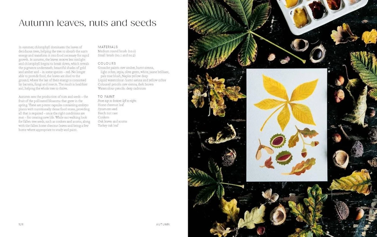 Chronicle Books - Painting Nature - Image 5