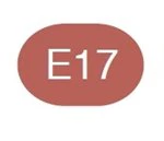 Copic Sketch Marker E17 Reddish Brass