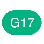 Copic Sketch Marker G17 Forest Green