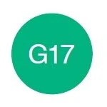 Copic Ciao Marker G17 Forest Green