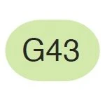Copic Sketch Marker G43 Pistachio