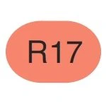 Copic Sketch Marker R17 Lipstick Orange