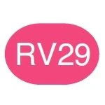 Copic Sketch Marker RV29 Crimson