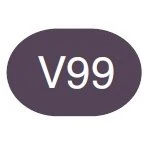 Copic Sketch Marker V99 Aubergine