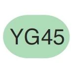 Copic Sketch Marker YG45 Cobalt Green