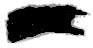FW Acrylic Ink - 1 fl oz - Black (India) - Image 2