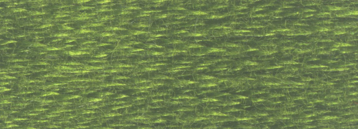 DMC 6-Strand Cotton Embroidery Floss 8.7yd - 469 Avocado Green - Image 2