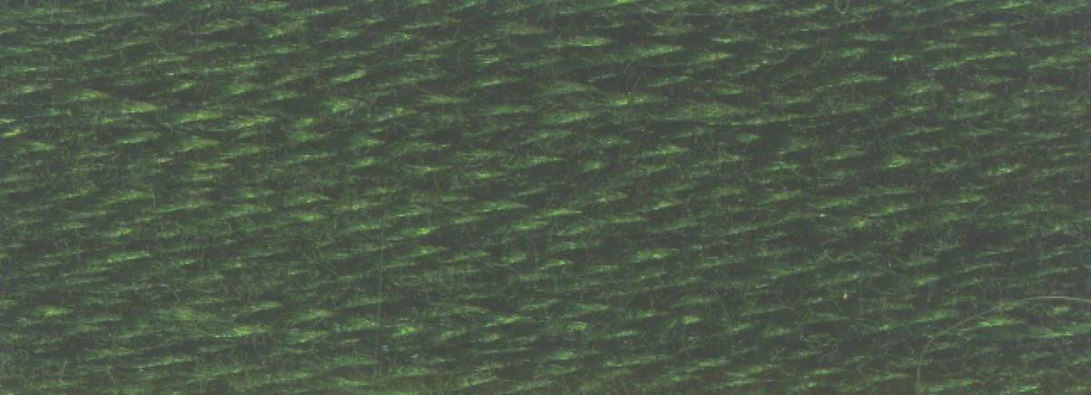 DMC 6-Strand Cotton Embroidery Floss 8.7yd - 934 Black Avocado Green - Image 2