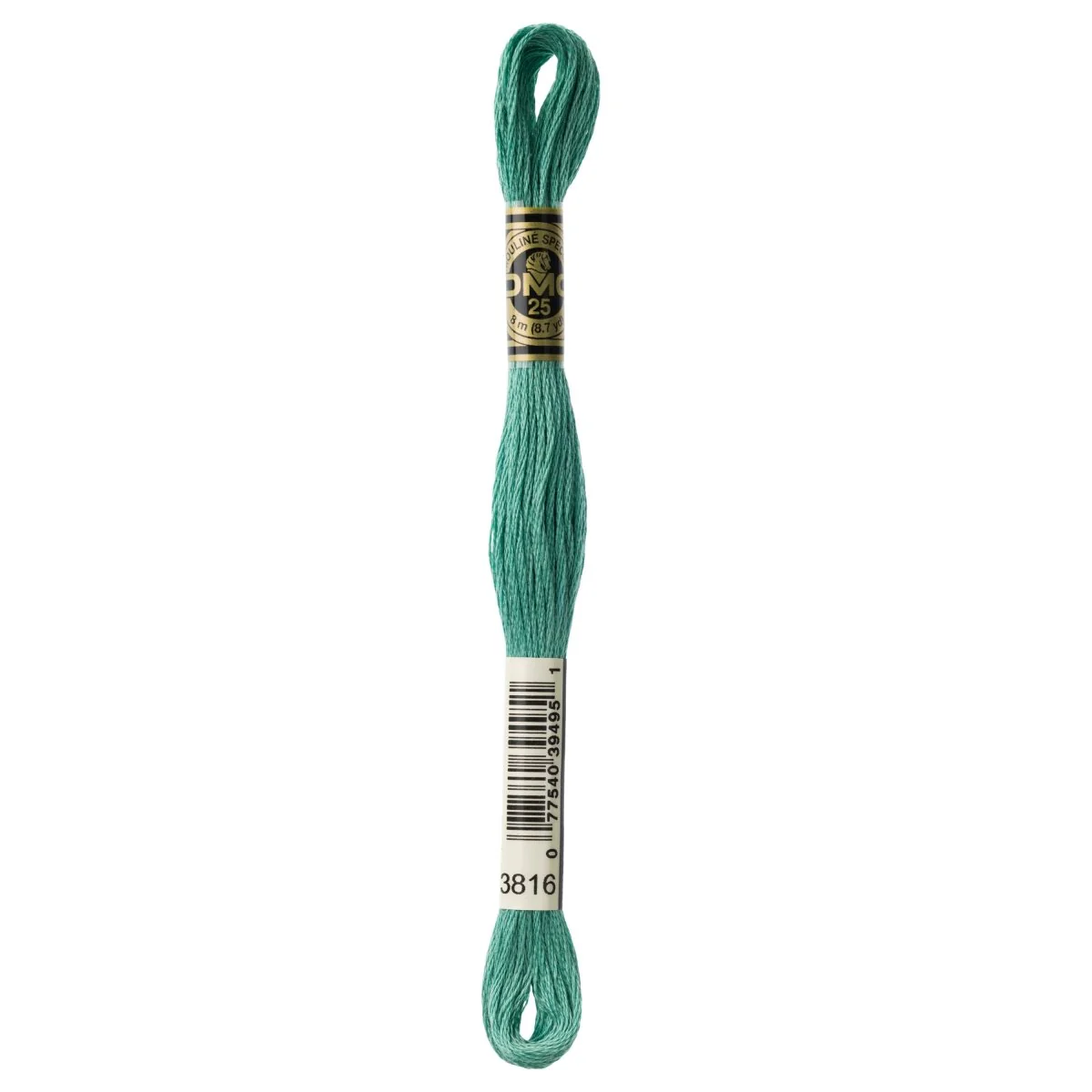 DMC 6-Strand Cotton Embroidery Floss 8.7yd - 3816 Celadon Green