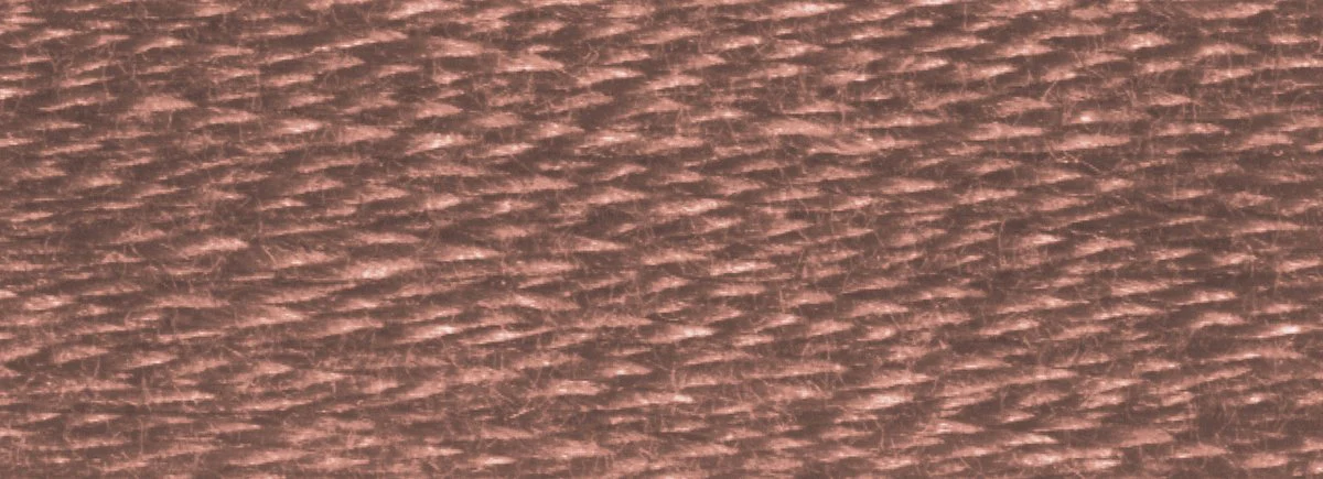 DMC 6-Strand Cotton Embroidery Floss 8.7yd - 3860 Cocoa - Image 2