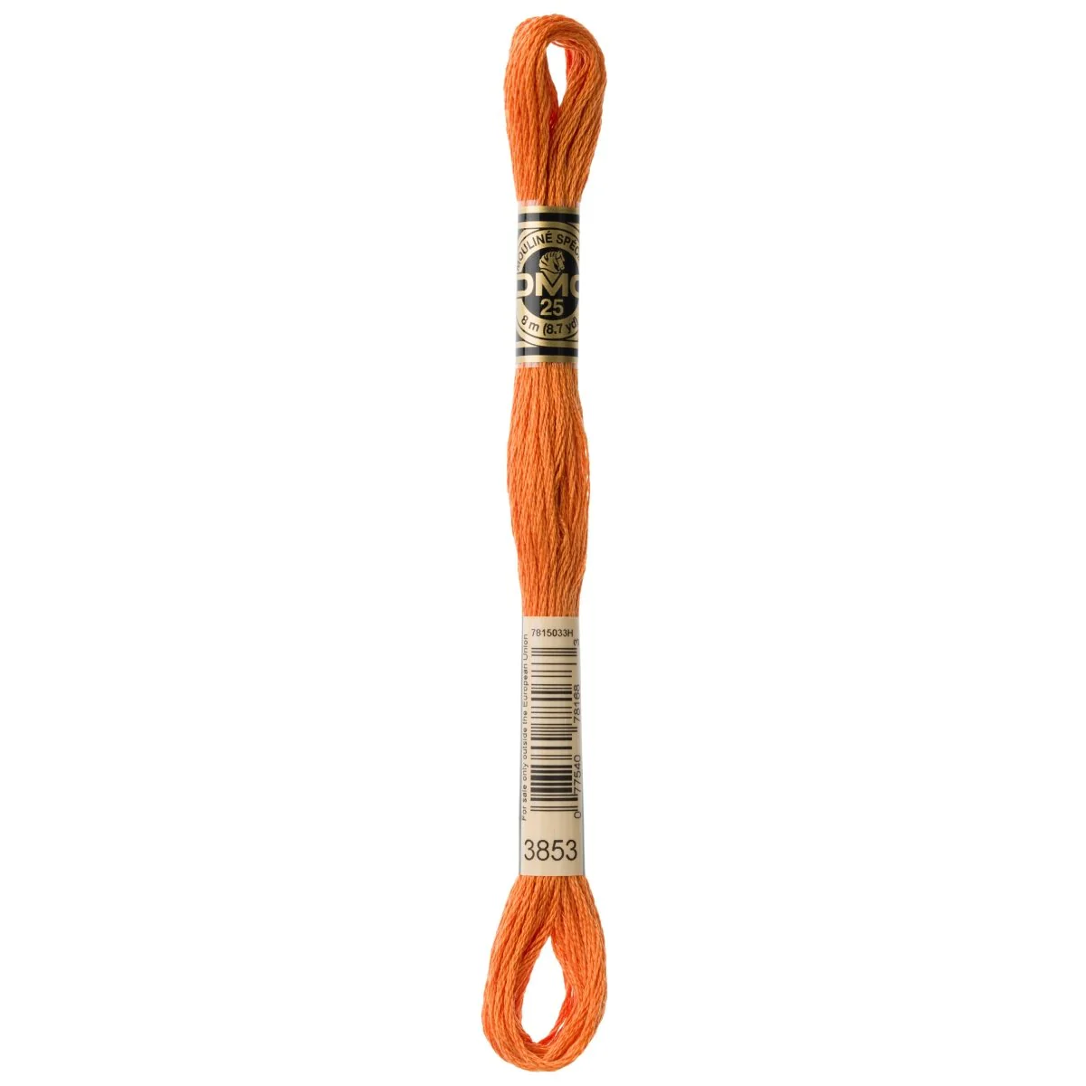 DMC 6-Strand Cotton Embroidery Floss 8.7yd - 3853 Dark Autumn Gold