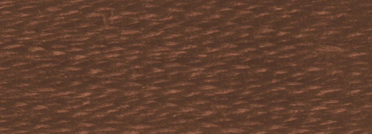 DMC 6-Strand Cotton Embroidery Floss 8.7yd - 839 Dark Beige Brown - Image 2