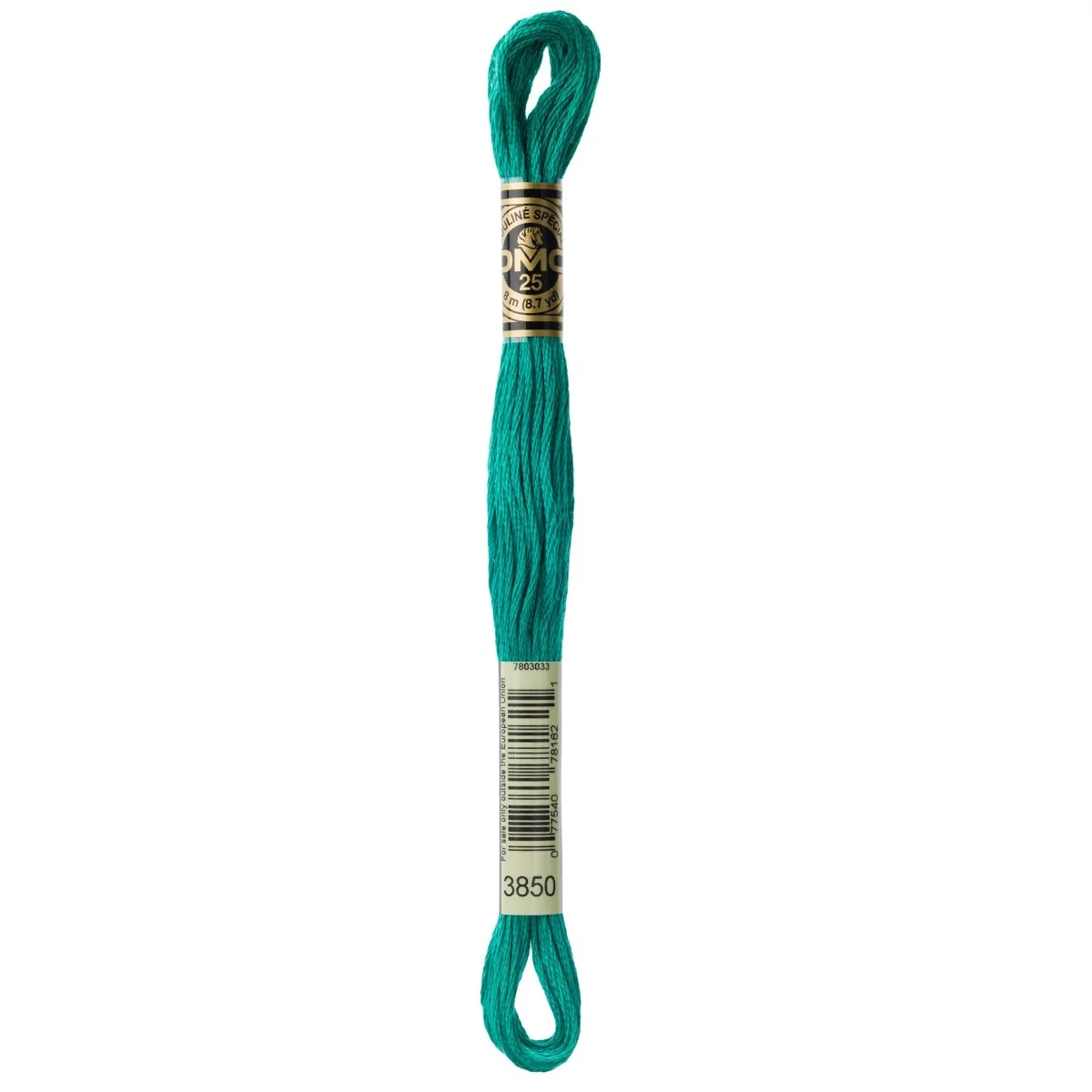 DMC 6-Strand Cotton Embroidery Floss 8.7yd - 3850 Dark Bright Green