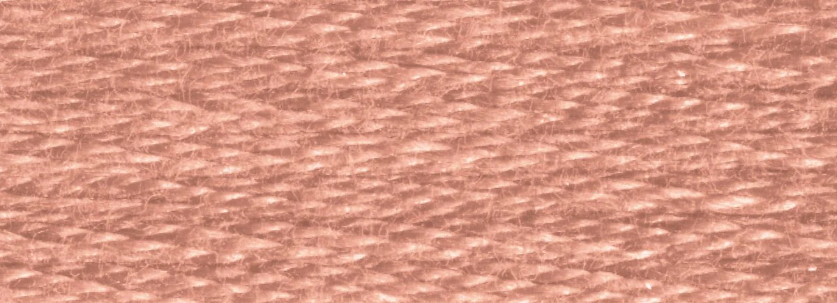 DMC 6-Strand Cotton Embroidery Floss 8.7yd - 407 Dark Desert Sand - Image 2