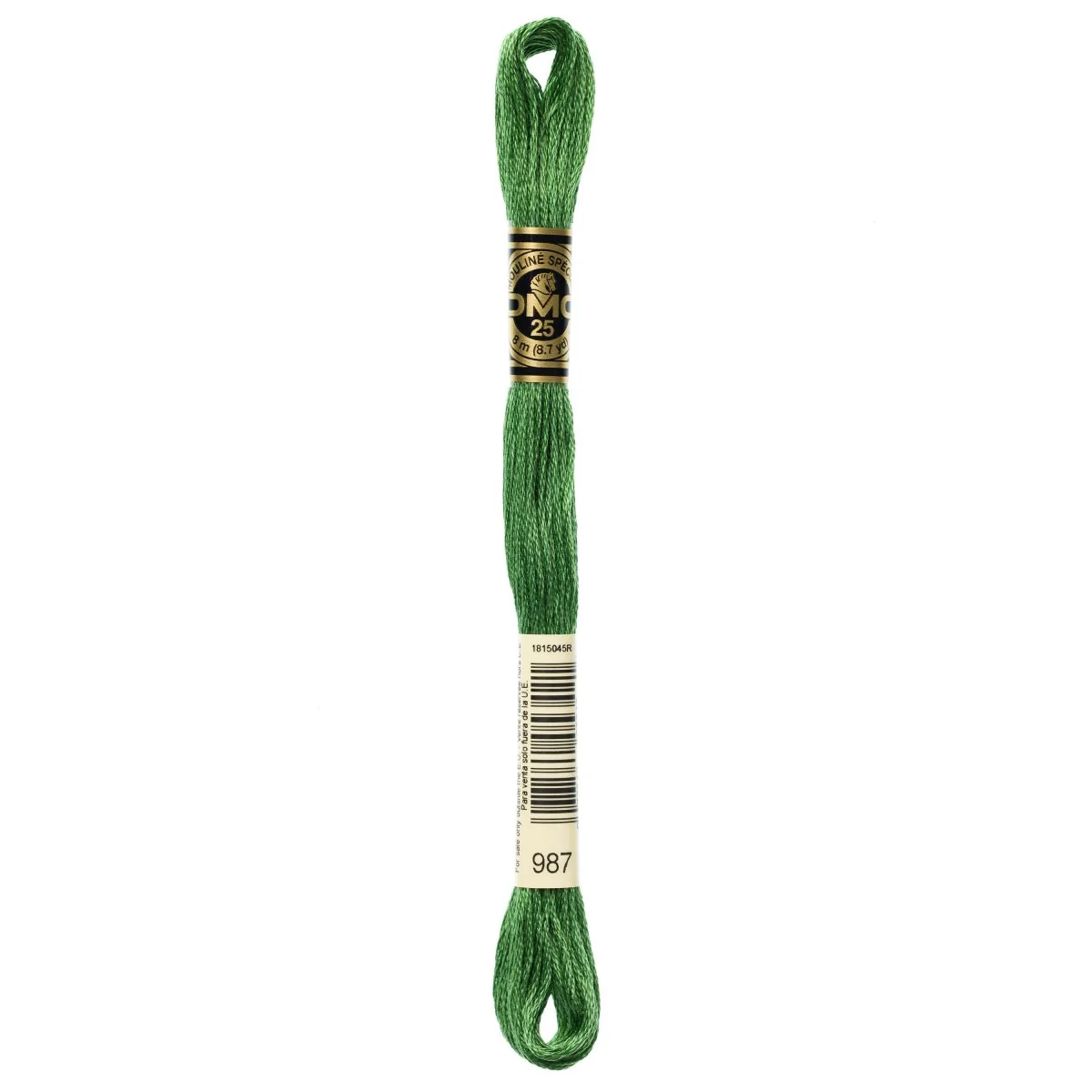 DMC 6-Strand Cotton Embroidery Floss 8.7yd - 987 Dark Forest Green