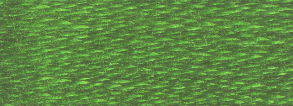 DMC 6-Strand Cotton Embroidery Floss 8.7yd - 987 Dark Forest Green - Image 2