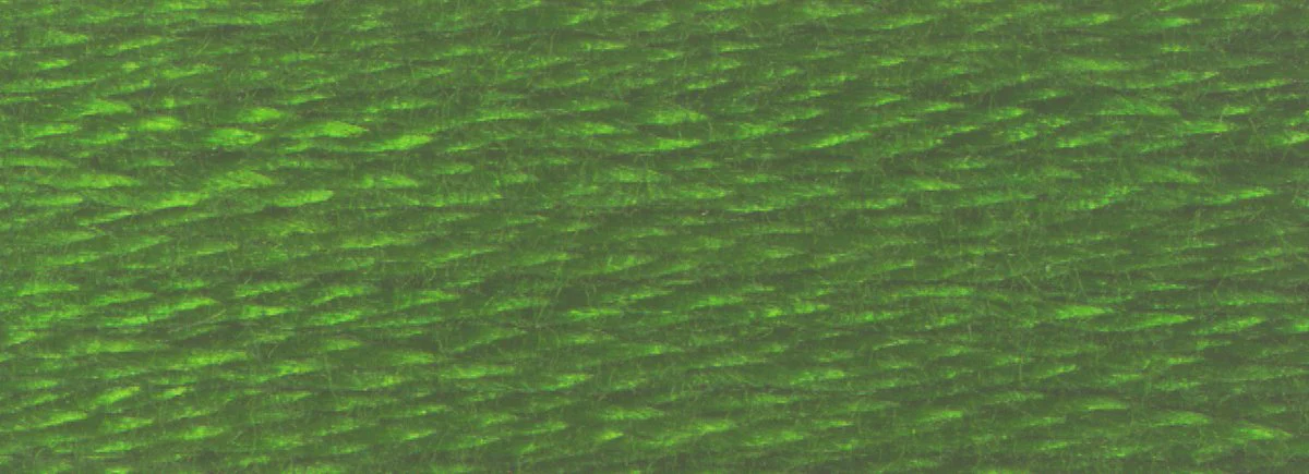 DMC 6-Strand Cotton Embroidery Floss 8.7yd - 3345 Dark Hunter Green - Image 2