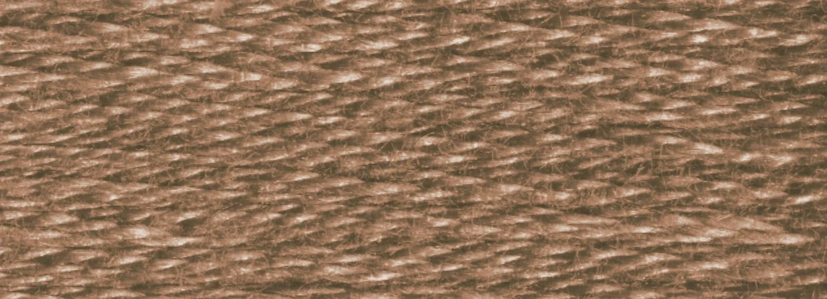 DMC 6-Strand Cotton Embroidery Floss 8.7yd - 3862 Dark Mocha Beige - Image 2
