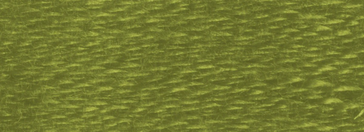 DMC 6-Strand Cotton Embroidery Floss 8.7yd - 580 Dark Moss Green - Image 2