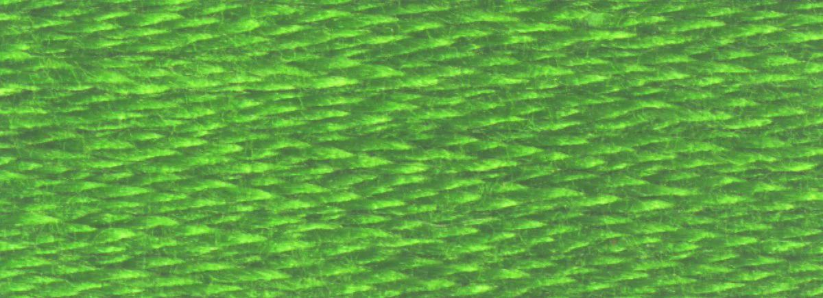 DMC 6-Strand Cotton Embroidery Floss 8.7yd - 905 Dark Parrot Green - Image 2